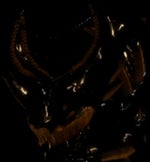 PIllar Chase 2 Inkfell Cavity Skin Chase Theme