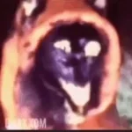 Pastra absolutely GEEKING OUT over The Prototype