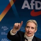 Alice Weide AFD Stolz