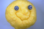 lemonmarci