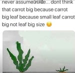 never assume in life