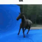 horse-sound