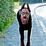 yuri22 somos homens damen