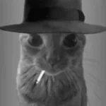 buenos días.. buenas tardes y buenas noches (copy)