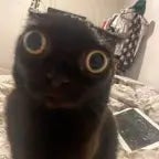 ouvre la porte (copy)