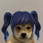 zum hund gemacht 2 dass die roblox id 7363108822