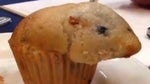 that muffin is looking awfully like a hamster