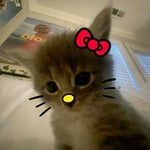 in the back of my mind (TRAP)