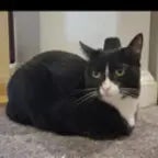 Secret Tunnel (copy)