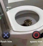 Caramella Girls SWED 1