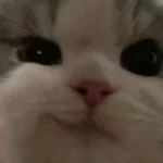 its been a year daddy slowed