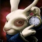 todos caminhos levam a roma