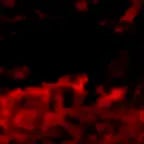 You have 30 seconds to kys