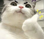 pubg dance challenge BOL4 You remix 틱톡 배그 그노래 - Sound