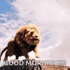 Lion_RoarSoundEffect