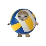 center หลายใฉ่