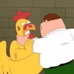 i wrestle with my chicken