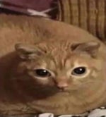 Release the Janissary