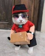 Kang Paket datang