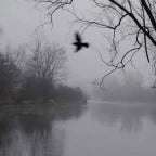 Monsters in my basement 1