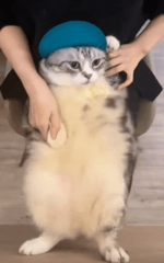 Hey Hey You You (I Don't like your Girlfriend)