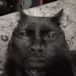 OLHA O CASAL AI AHHAHAHAHAHAHAHAHAHAHA