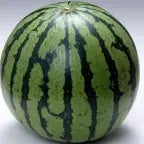 Чехословакия она такая тварь - Sound