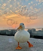 30 minutes later coryxkenshin