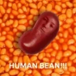 BEAN