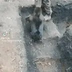 para de mandar audio to na ucrania