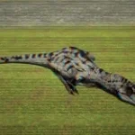 Rudy call with screech