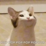 *pop*