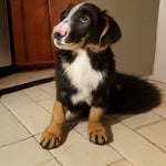 I Had a New Addition