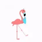 Flamingo 'Yaba Daba Do'