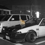 sigma song call me [ 𝕊𝕃𝕆𝕎𝔼𝔻 ] (extended