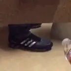 Screaming in public restrooms prank V.2 - Sound Effect