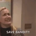 SAVE BANDIT