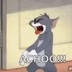 Achoo