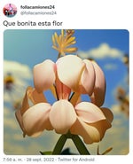 Luffy Voice lines ○ € P¡€(€