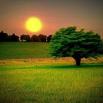 many many returns of the