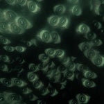 rio x chucky type beat