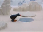 Pingu Nooo