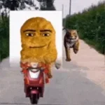 Screaming chicken on tree meme