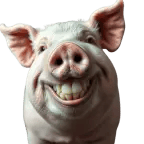 Deranged woman scream 12x speed