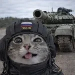 Ali buetiful to fall asleep