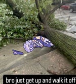 slide from sm64, but with the freedom motif