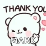 obrigado por me segui