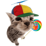 Singing cat Japanese