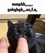 skibidi gyatt