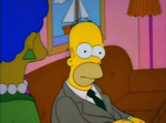 Homer Simpson : The Simpsons Well, IDK